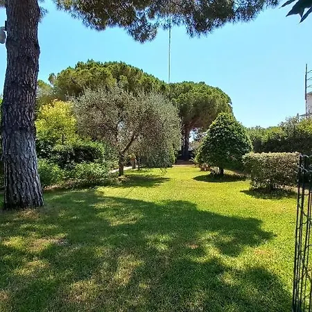 Apartment Casaisoladelba Lacona