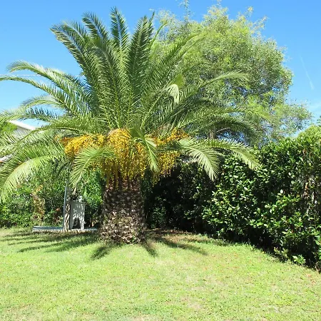 Casaisoladelba Immersa Nel A 80mt Dalla