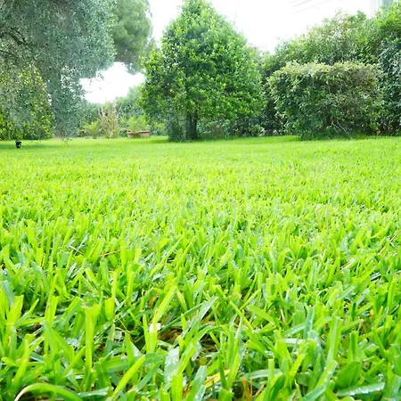 Casaisoladelba Immersa Nel A 80mt Dalla Lacona