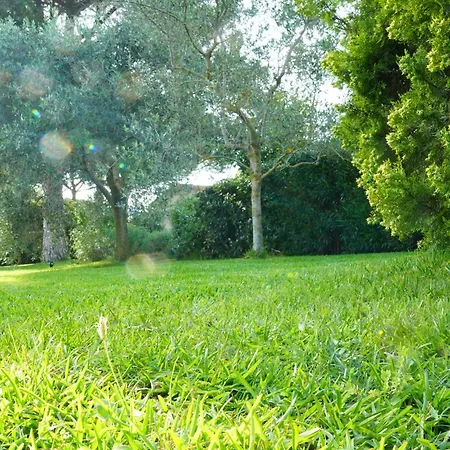 Casaisoladelba Immersa Nel A 80mt Dalla