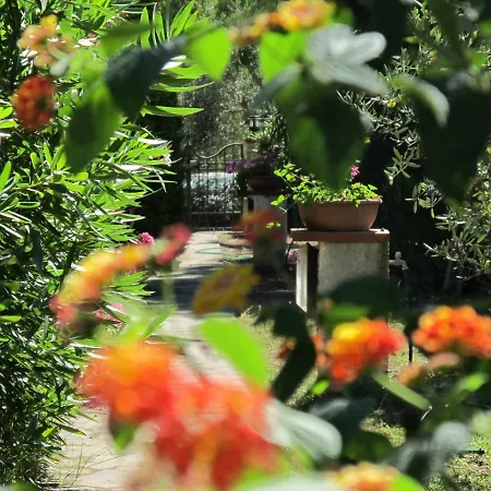 شقة Casaisoladelba Immersa Nel A 80mt Dalla *