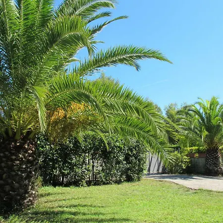 شقة Casaisoladelba Immersa Nel A 80mt Dalla *