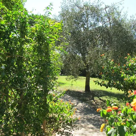 Casaisoladelba Immersa Nel A 80mt Dalla *