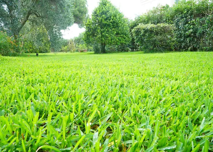 Casaisoladelba Immersa Nel A 80mt Dalla Lacona