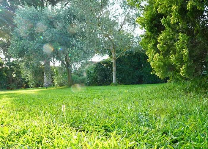 Casaisoladelba Immersa Nel A 80mt Dalla