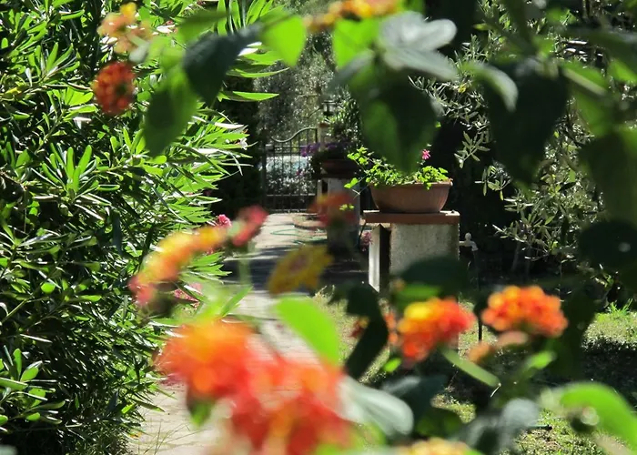 Appartamento Casaisoladelba Immersa Nel A 80mt Dalla *