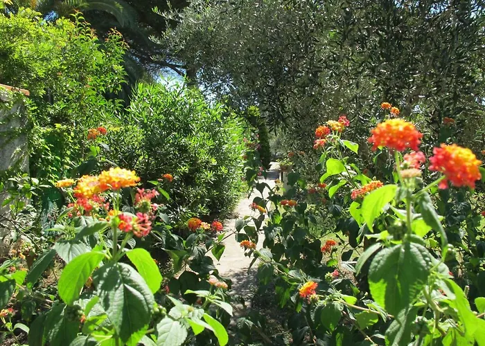 Casaisoladelba Immersa Nel A 80mt Dalla Appartamento