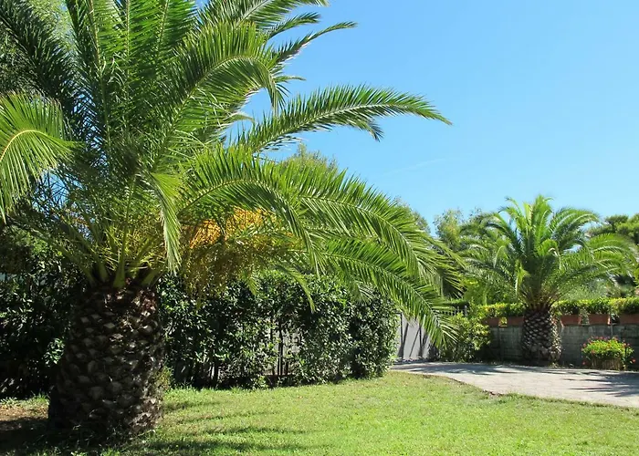 Appartamento Casaisoladelba Immersa Nel A 80mt Dalla *