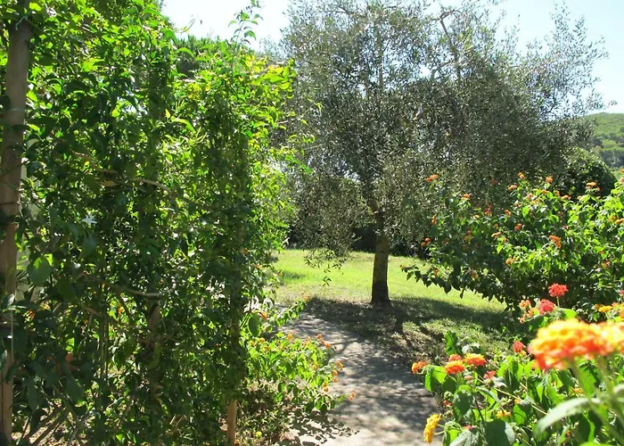 Casaisoladelba Immersa Nel A 80mt Dalla *