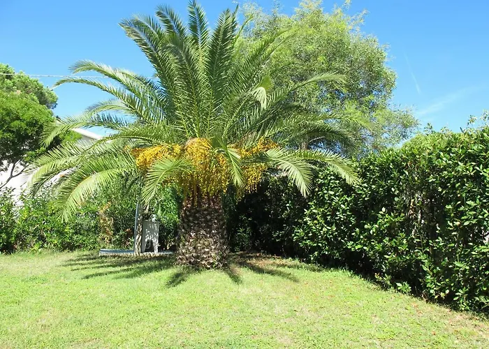 Casaisoladelba Immersa Nel A 80mt Dalla